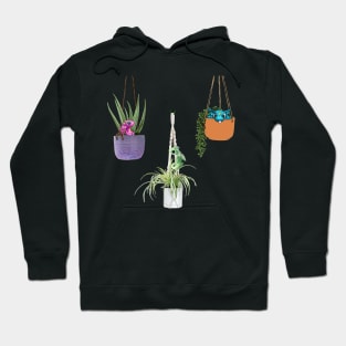 Three Planter Dragon Babies Hoodie